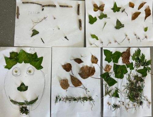 Nature Art 1