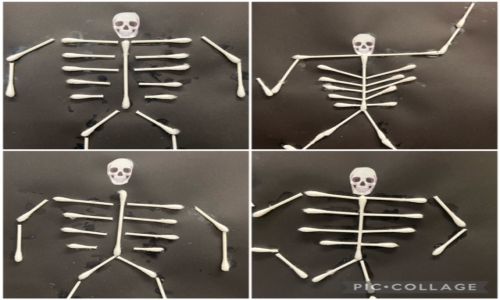 skeleton 2