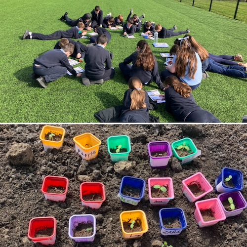 7955D6EF-216B-4445-8229-3143FDA51E42