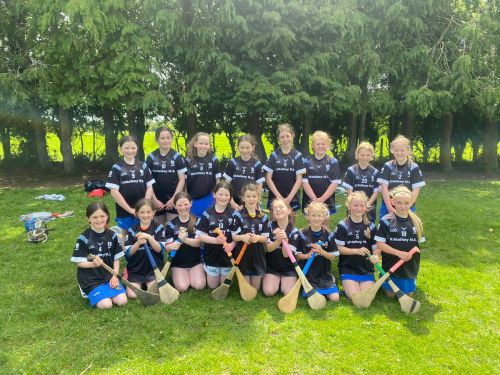 3 4 camogie