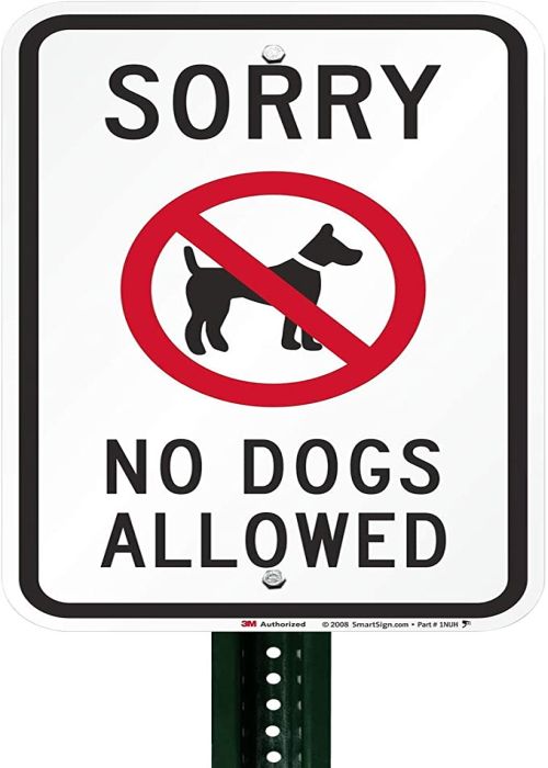No dogs